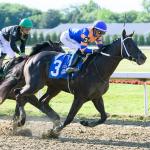 Banking On Speed to Produce an Upset in the Jim Dandy Stakes