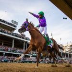 California Chrome, A Horse Who Brought Dreams to Life