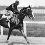 The Epic Journey of James ‘Wink’ Winkfield