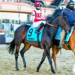 Keying Longshot Cloud Computing in the Preakness