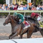 Seven Trends to Know When Betting the 2026 Fountain of Youth Stakes