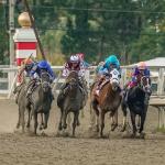 2026 Cotillion Stakes at a Glance
