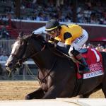 Counting Stars Takes Command Among 3-Year-Old Fillies on Equibase Leaderboard