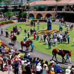 Where to Watch/Listen: Horse Racing Coverage July 23-26