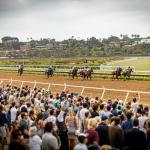 Dr. Venkman Gets Slight Edge in Competitive Bing Crosby Stakes