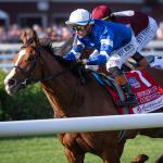 Buy or Sell on Road to Breeders’ Cup: Sword Dancer Stakes Winner El Cordobes 