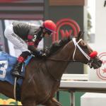 Betting a Double-Digit Longshot in the 2025 King’s Plate Stakes