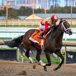 Nearly Assumes Role of Top Derby Hopeful with Big Win in Holy Bull Stakes