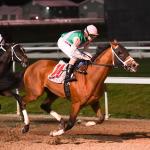 Six Trends to Consider When Betting the 2026 Risen Star Stakes