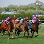 ABR Sunday Selections: Full-Card Picks for Sept. 14 for Belmont at the Big A