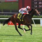An Exotic Betting Strategy for the 2025 Natalma Stakes