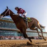 Half a Dozen Trends to Consider When Betting the 2026 Louisiana Derby