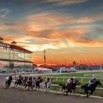 Let the Good Times (and Racing) Roll: Tips for Winning at the Fair Grounds Meet