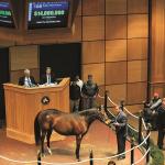 Novembers to Remember: Shining Stars at Fasig-Tipton