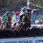 Five Fast Facts About the Far Hills Steeplechase Race Meet
