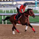 2026 Jockey Club Gold Cup Cheat Sheet