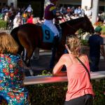 Noel’s Weekend Winners: Tropical Park Oaks and Derby Plays at Gulfstream