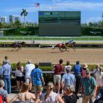 Expert Selections for Saturday’s Sunset Pick 6 at Gulfstream and Santa Anita