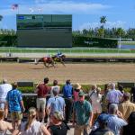 Noel’s Weekend Winners: Lure of Sunshine Beckons for Gulfstream Park Stakes