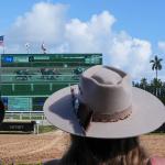 Noel’s Weekend Winners: Picks for Pair of Wide-Open Races at Gulfstream Park