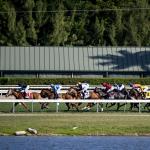 Focus Shifts for Top-Class Horse Racing as Autumn Turns to Winter