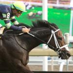 Can Gas Me Up Post the Upset in the Woodbine Mile?