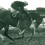 A Genuine Star Filly Well Worth the Risk