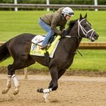 Hinton Has Upset Chance in Ohio Derby