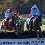 Ireland's Zanahiyr Wins Grand National at Far Hills, Clean Sweep for Kennedy, Elliott