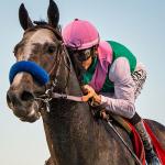 A Sublime Nine: Ranking the Best Pegasus World Cup Winners