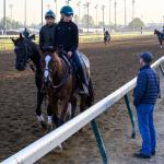 On the Rise: Sofia Thompson, Assistant to Trainer Riley Mott