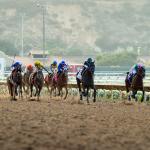 Eyeing an Upset in the 2026 Clement L. Hirsch Stakes 