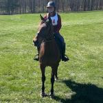 Thoroughbred Aftercare Alliance Success Story: Holy Moses, the Horse Who Changed Everything