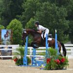 Thoroughbred Aftercare Diary: Managing Ups and Downs With Focus on Future