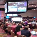 Last-Minute Opportunities to Qualify for National Horseplayers Championship