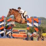 Thoroughbred Makeover Diary: A Fulfilling Second Career for Salesman