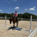Thoroughbred Makeover Diary: An Exciting and Nerve-Racking Time