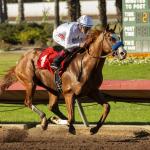 Why Improbable is the Real Deal for 2019 Kentucky Derby Trail