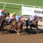 A Trifecta Strategy for Betting the 2026 Indiana Derby
