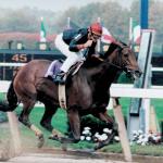 Inside Information: A Hall of Fame Racehorse With Push-Button Brilliance