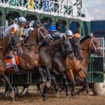 ABR Sunday Selections: Full-Card Picks for May 31 at Churchill Downs