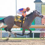 How to Make Money Betting Ted Noffey in the 2025 Breeders’ Cup Juvenile