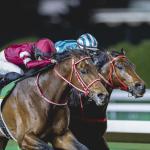 Trainer Yoshito Yahagi Believes Forever Young Can Shape Japan Dirt Racing