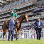 Calandagan Honored as 2025 World’s Best Racehorse, Forever Young and Sovereignty Among Group Tied for Second