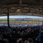 America’s Best Racing’s Trifecta Strategies for the 2026 Breeders’ Cup Classic