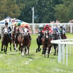 Elevating Prior Course Success When Betting the Kentucky Downs Turf Sprint