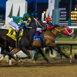 Byron King’s Derby Dozen for Jan. 29