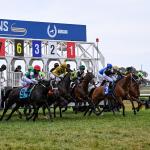 Kentucky Downs, a Turf Oasis and Betting Mecca, Gears Up for 2026 Meet