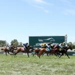 Mercante Gets Slight Edge in Competitive Kentucky Turf Cup