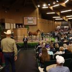 High-Rolling Horses: Keeneland’s Yearling Sale vs. Other Big-Ticket Items